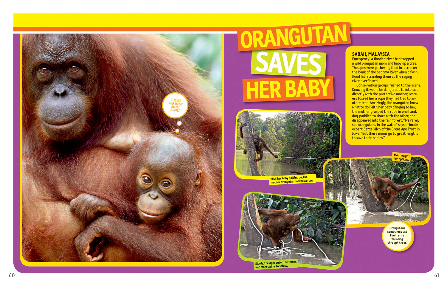 National Geographic Kids - 125 True Stories of Amazing Animals: Inspiring Tales of Animal Friendship & Four-Legged Heroes, Plus Crazy Animal Antics - Image 4