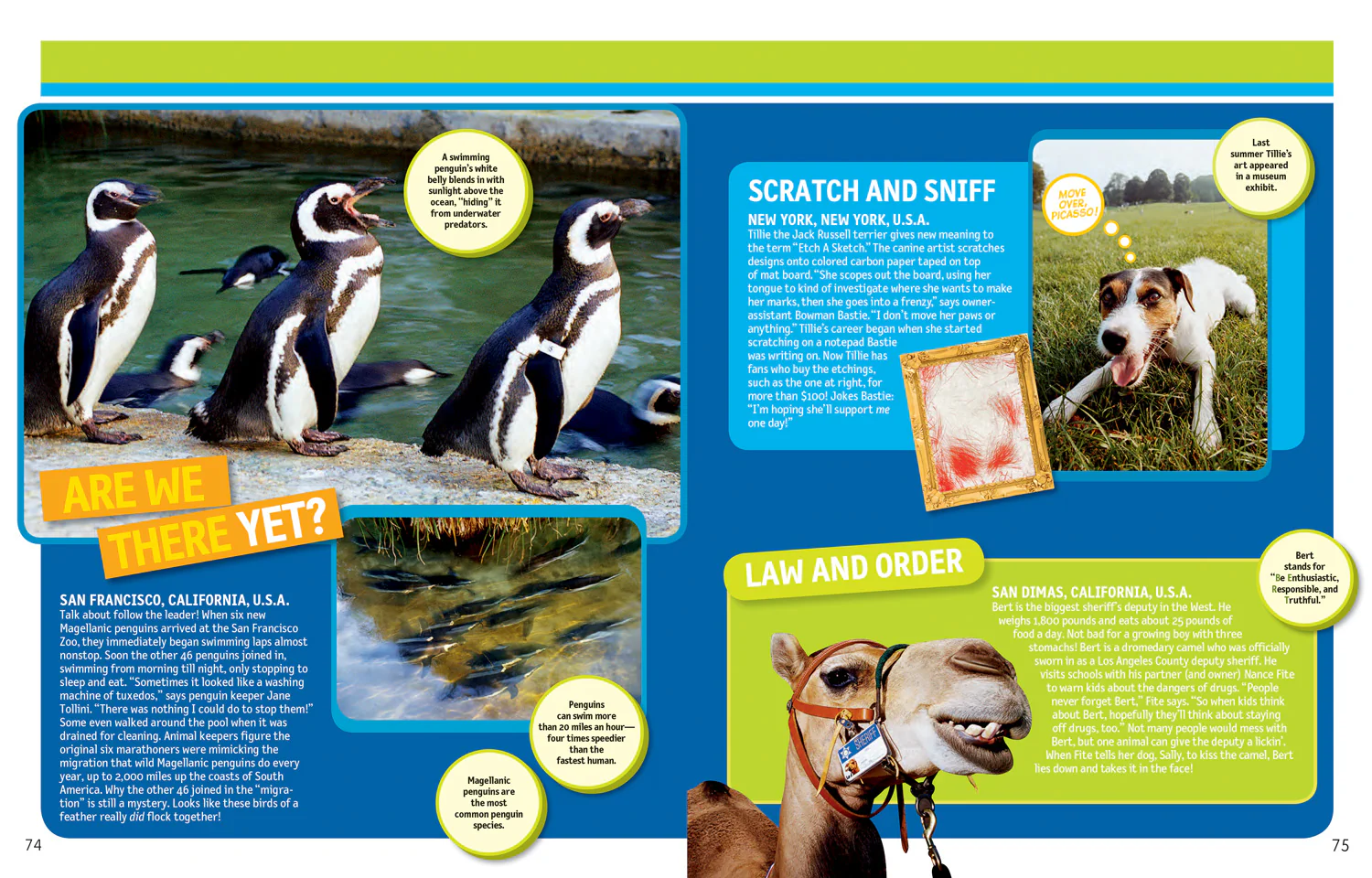 National Geographic Kids - 125 True Stories of Amazing Animals: Inspiring Tales of Animal Friendship & Four-Legged Heroes, Plus Crazy Animal Antics - Image 5