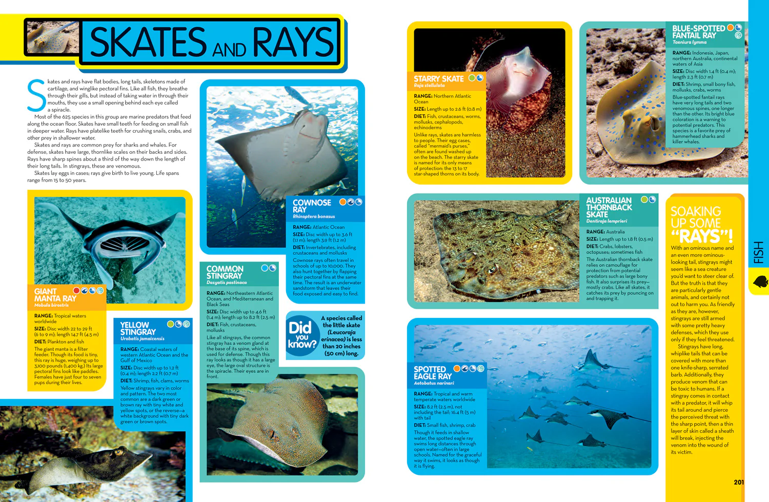 National Geographic Kids - Animal Encyclopedia: 2,500 Animals with Photos, Maps, and More! - Image 6