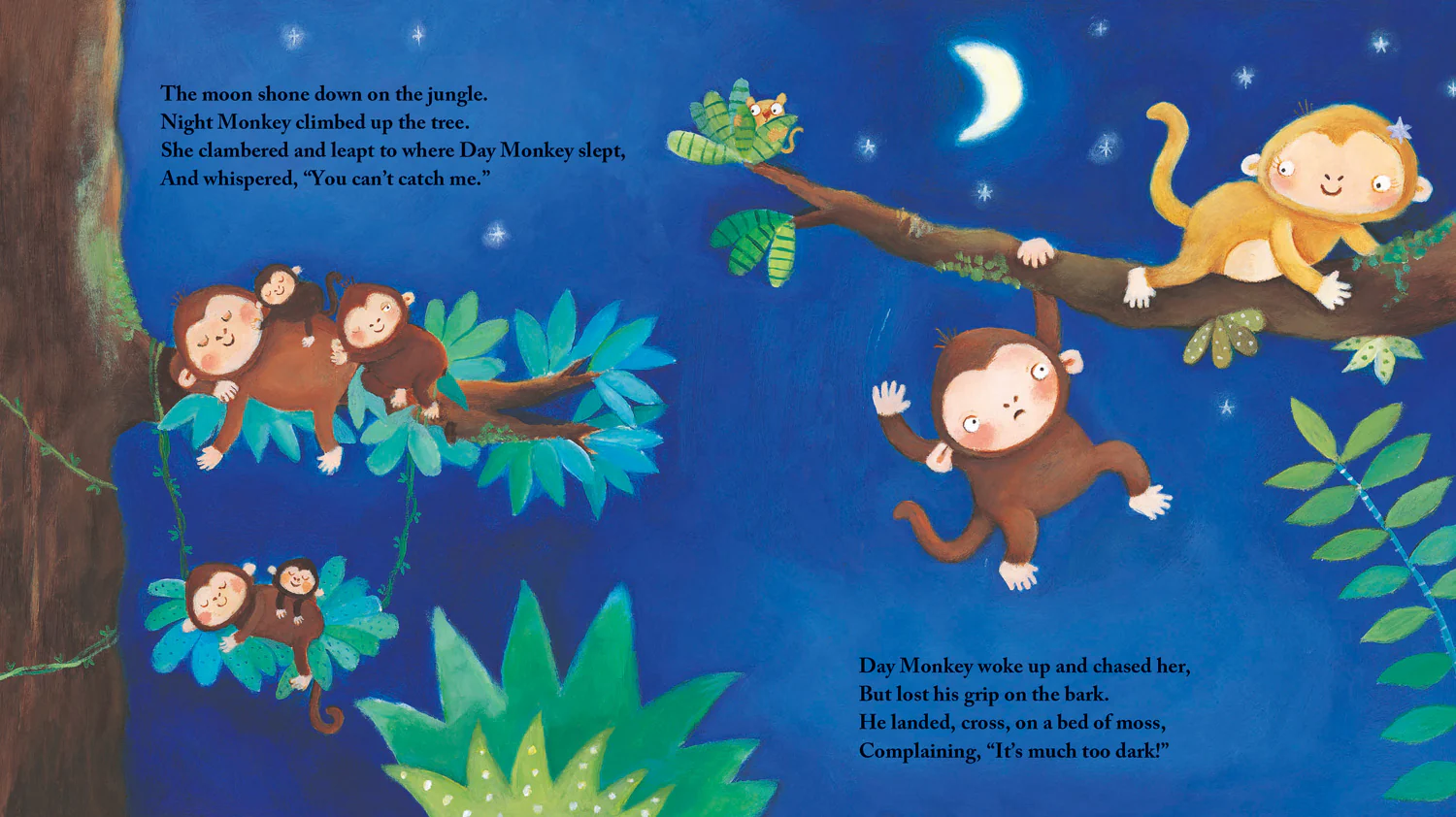 Night Monkey, Day Monkey