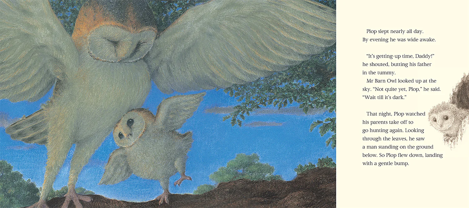 The Owl Who Was Afraid of the Dark - Image 4