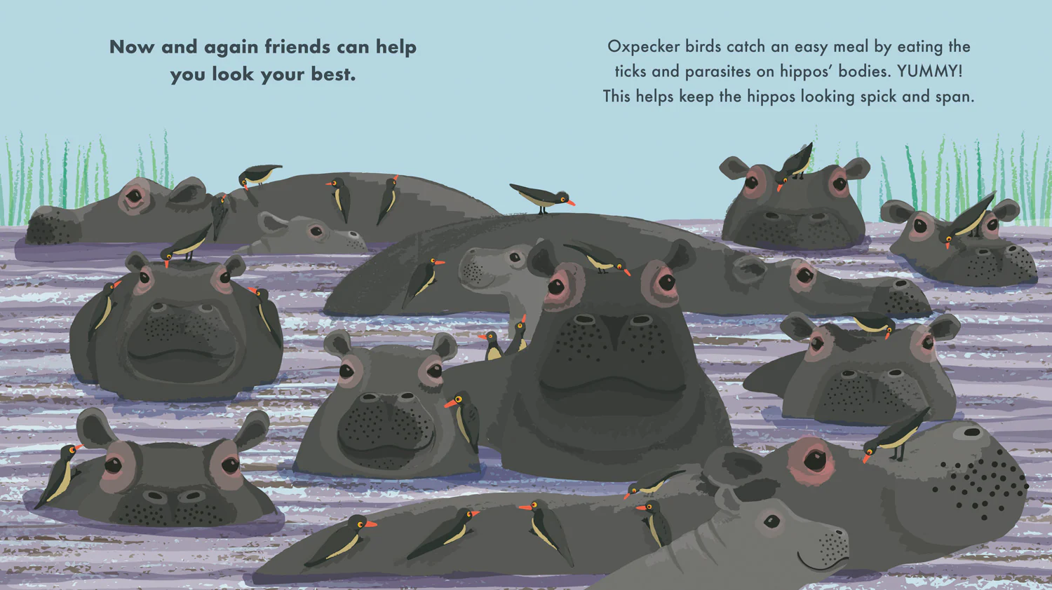 All Kinds of Friends - Image 2