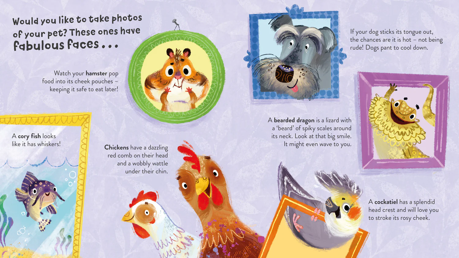 Pick a Pet - Image 4