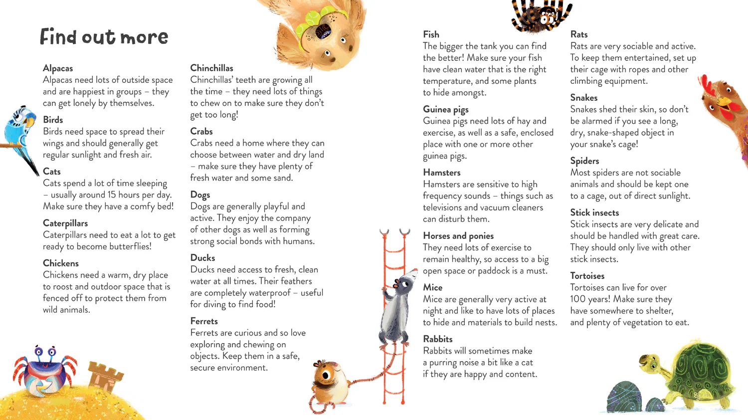 Pick a Pet - Image 5