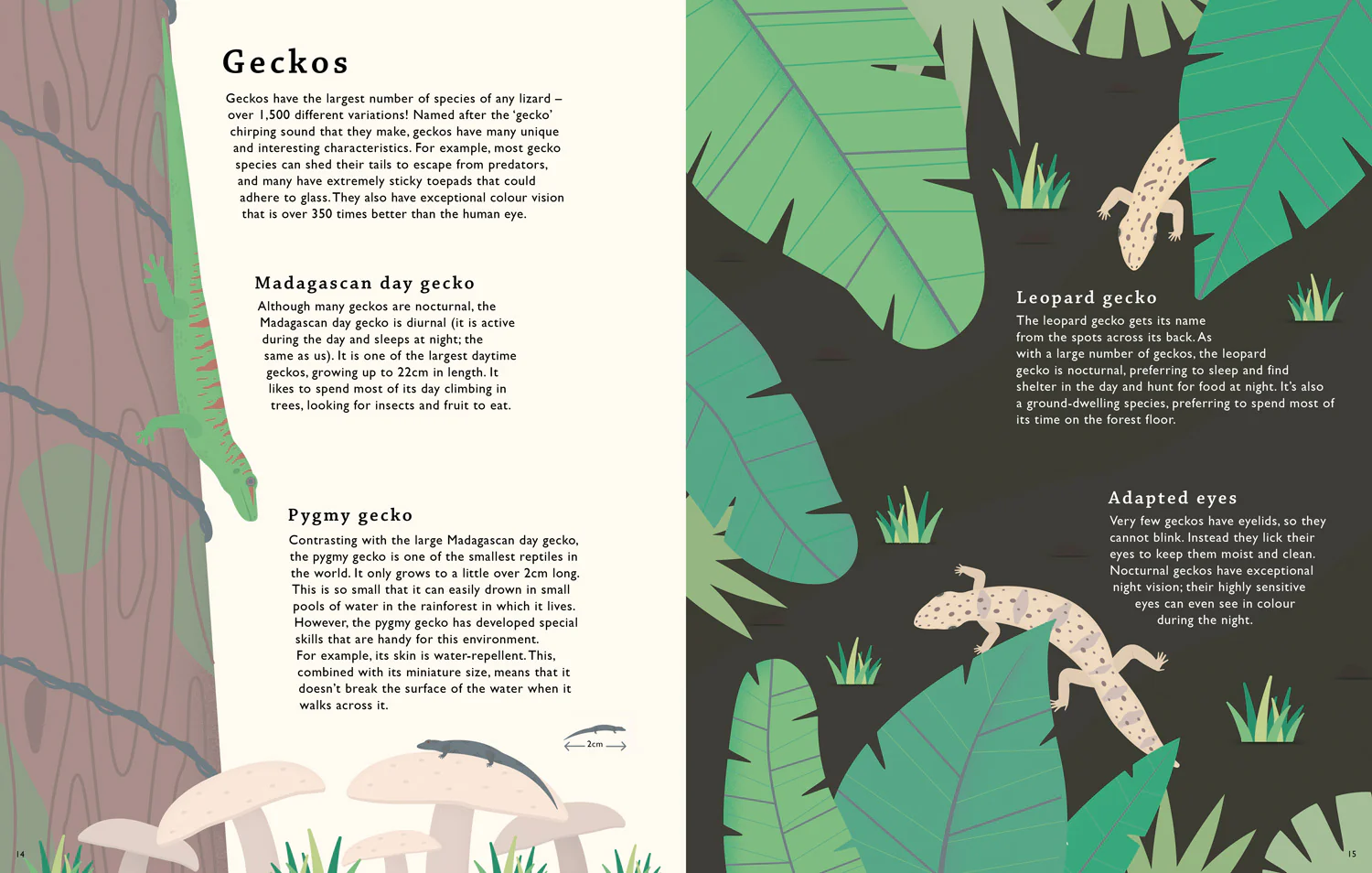 Really Remarkable Reptiles - Image 4
