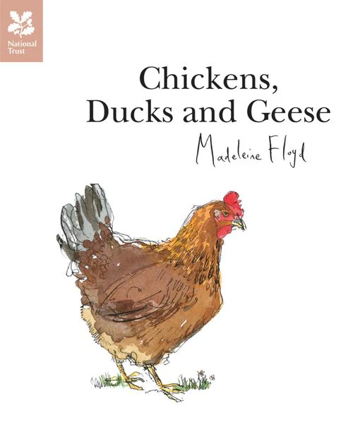 National Trust Art & Illustration - Chickens, Ducks and Geese: (First edition)