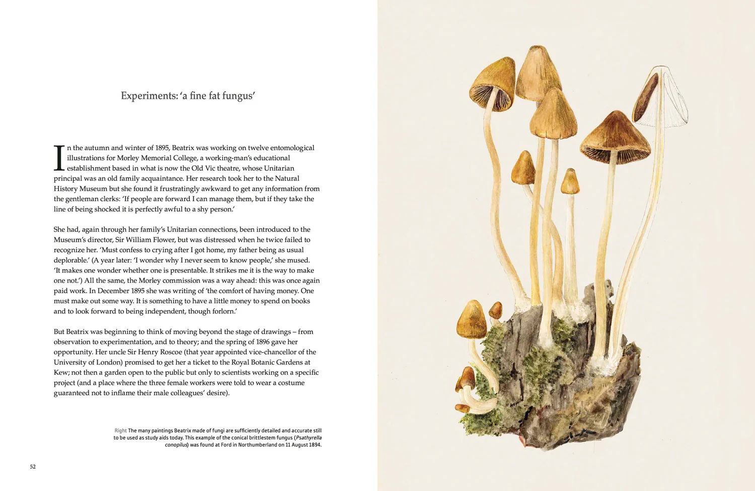 National Trust History & Heritage - The Story of Beatrix Potter - Image 6