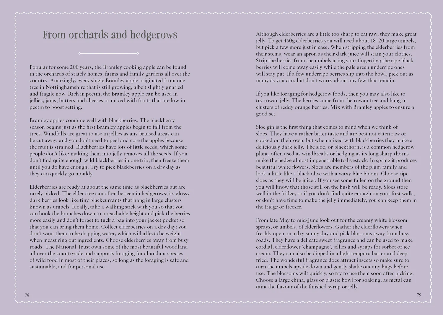 The National Trust Book of Jam: 70 mouthwatering recipes for jams, marmalades and other preserves - Image 4