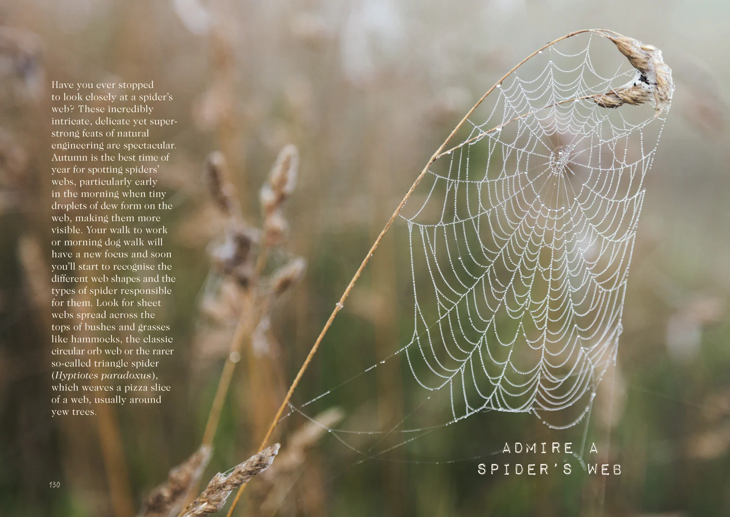 A Breath of Fresh Air: How to Feel Good All Year Round - Image 4