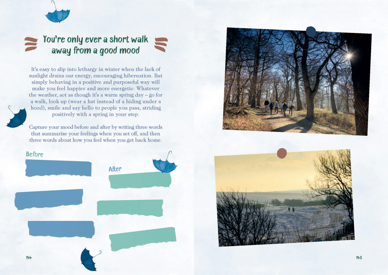 A Breath of Fresh Air: How to Feel Good All Year Round - Image 5