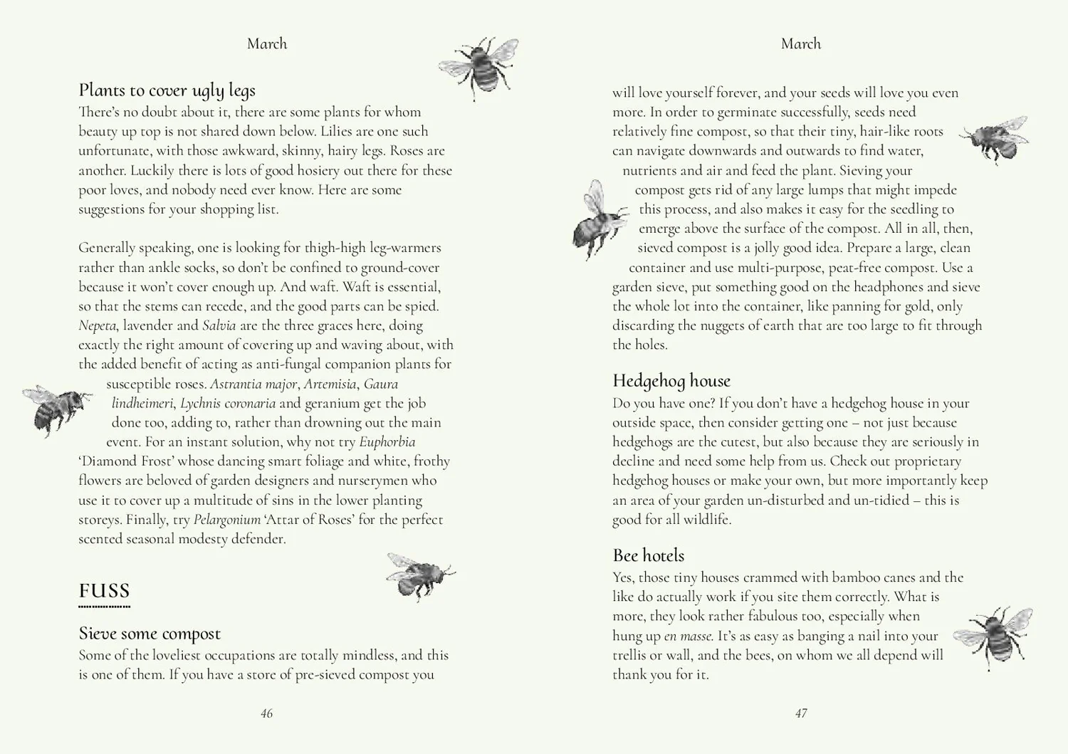 The Five Minute Garden - Image 3