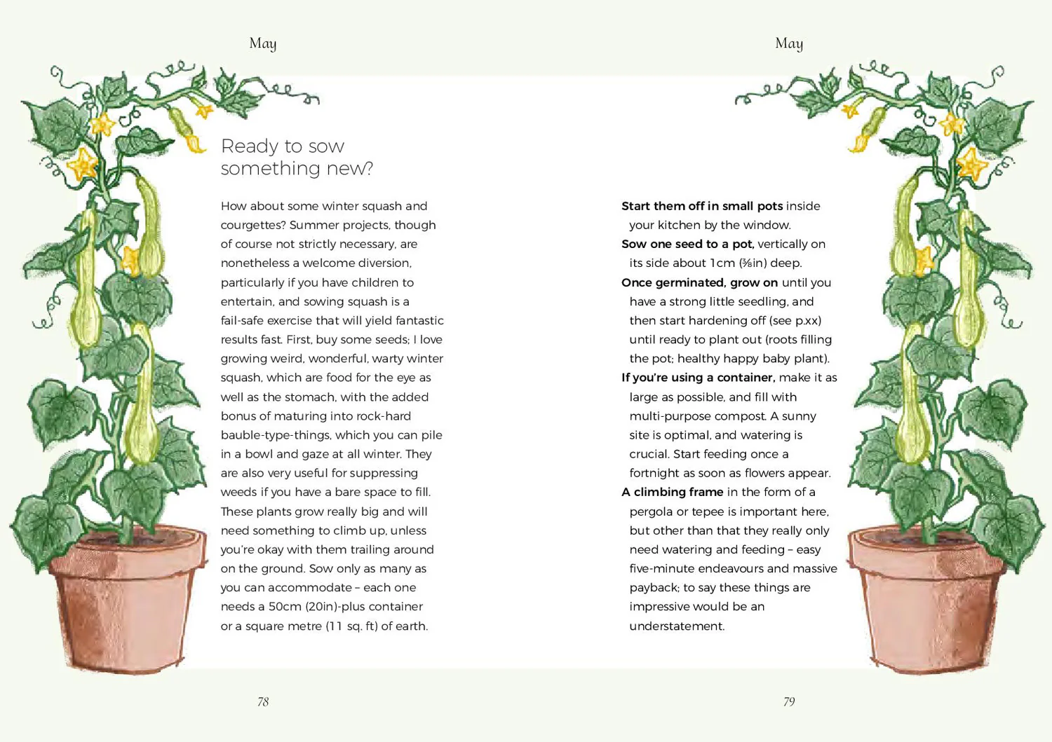 The Five Minute Garden - Image 4