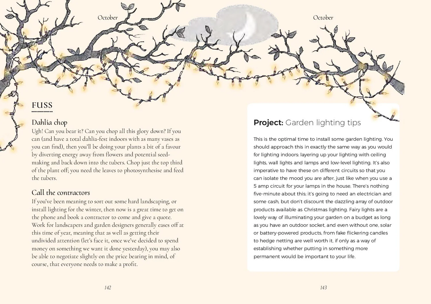 The Five Minute Garden - Image 6