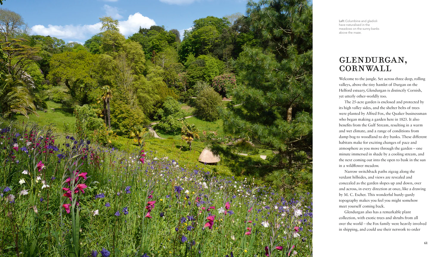 Wild Gardens - Image 3