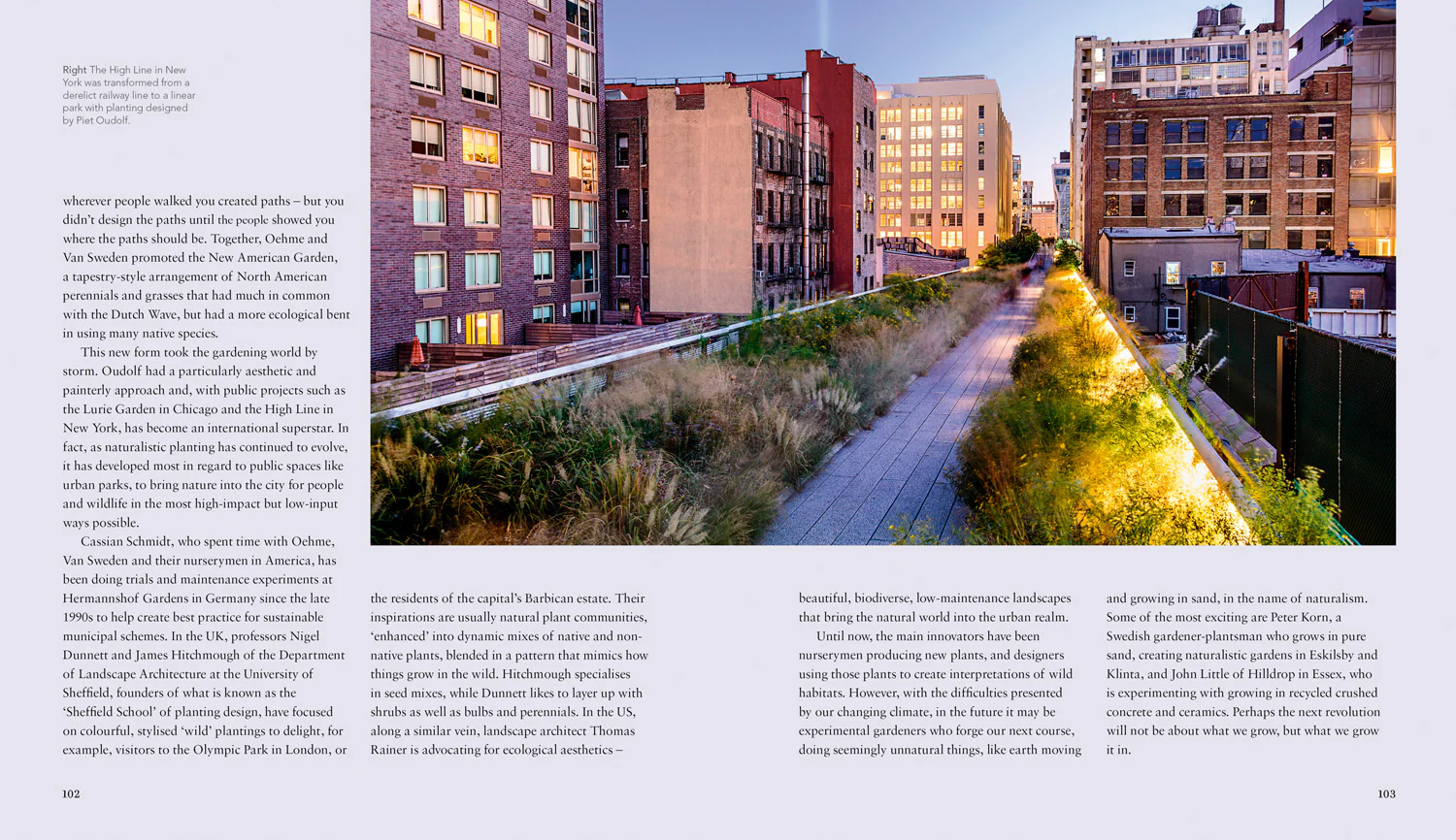 Wild Gardens - Image 4
