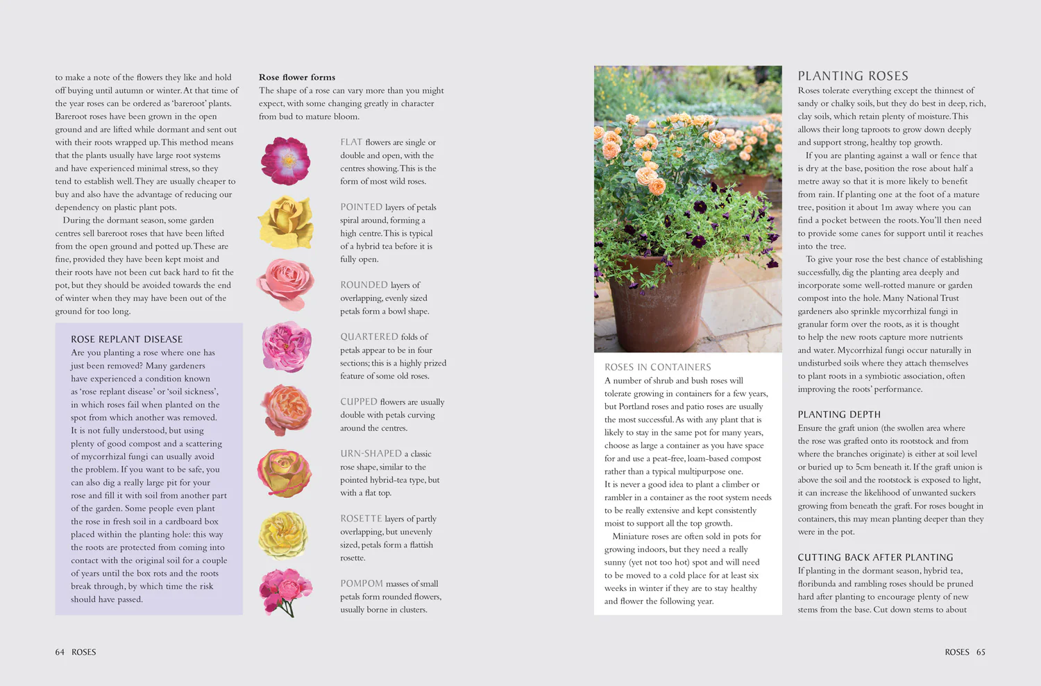 National Trust School of Gardening - Image 6