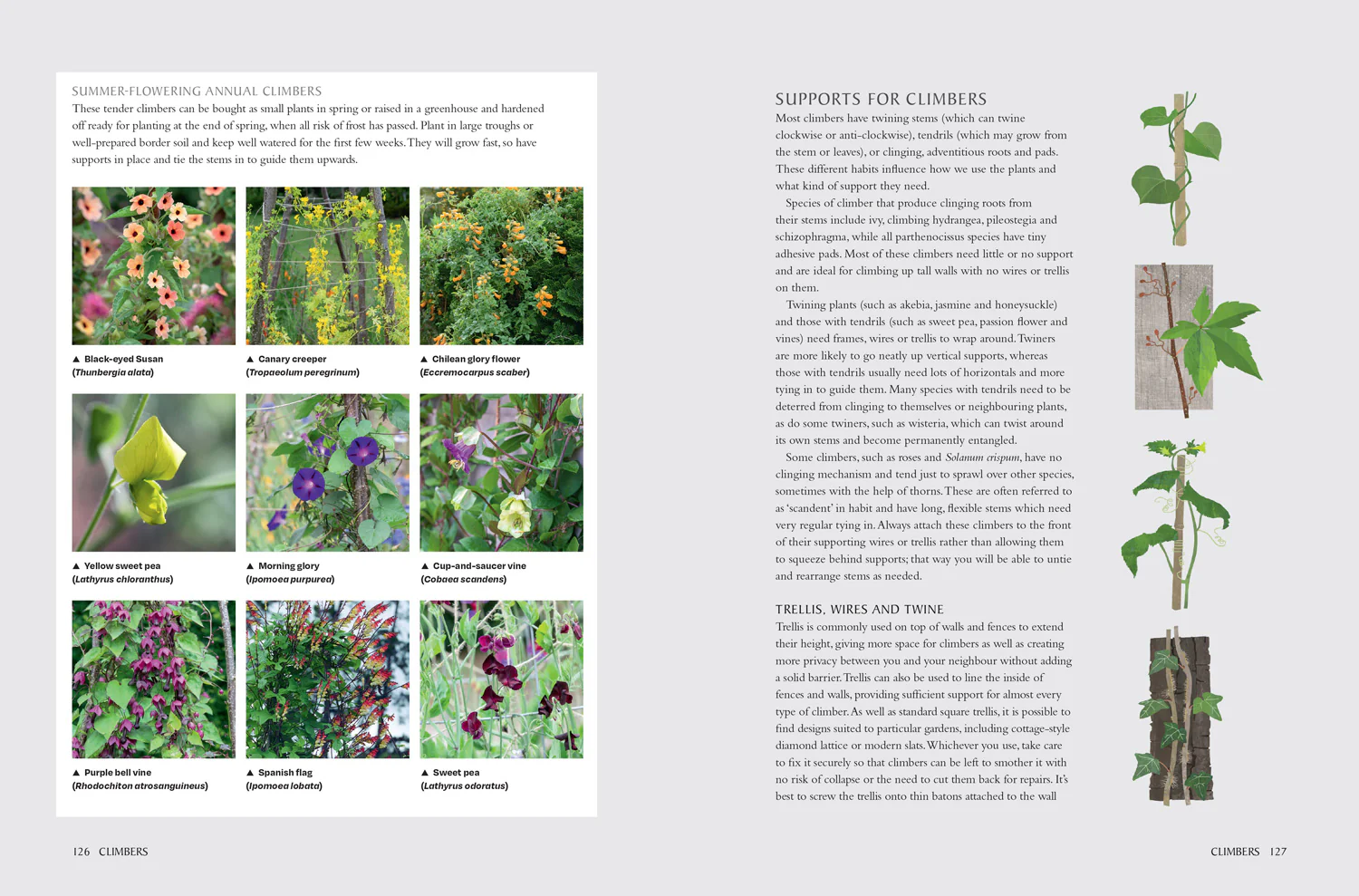 National Trust School of Gardening - Image 8