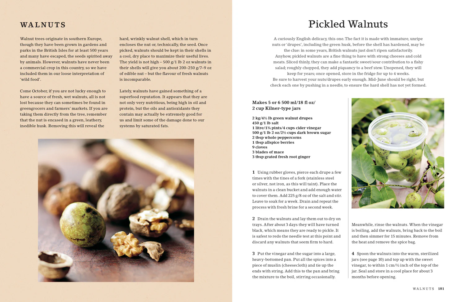 The Hedgerow Cookbook: Delicious Recipes for Foraged Food - Image 4