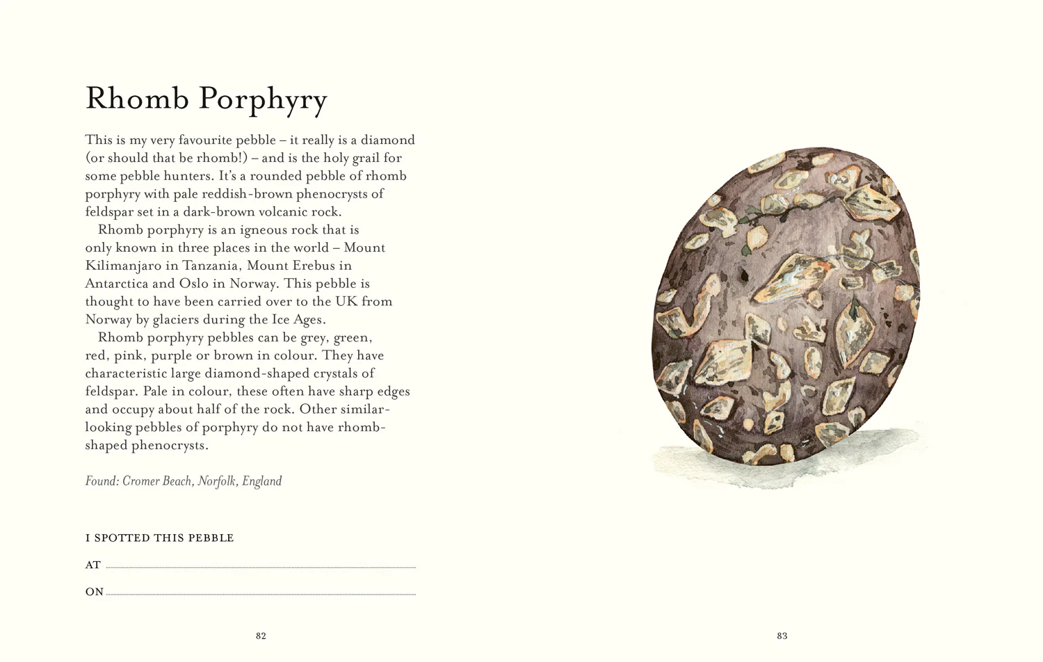 The Pebble Spotter's Guide – National Trust Edition - Image 5