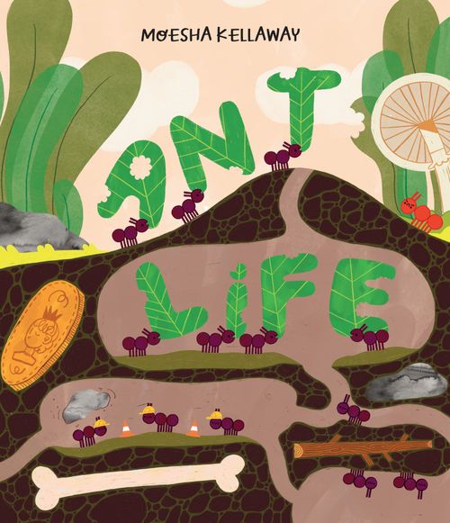 Misunderstood Minibeasts - Ant Life